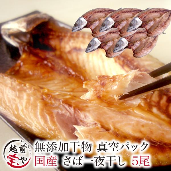 さば 干物 1尾×5パック サバ 鯖 干物セット 真空パック 一夜干し 一夜干し魚 一夜干しセット ((冷凍))