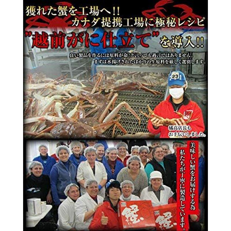 ますよね かに カニ ボイル 本ずわい蟹足 2.5kg (8?12肩入) 約6人前 蟹 ずわい蟹 ズワイガニ