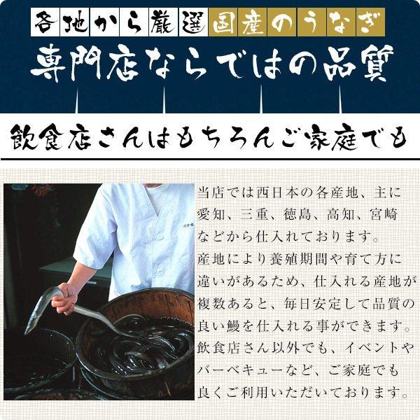 生きたうなぎ 大サイズ4尾 4p 1kg 鰻 活鰻 業務用 活ウナギ