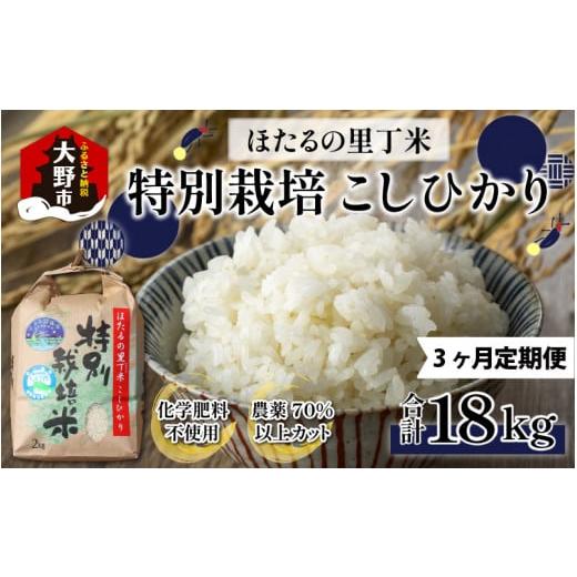 ふるさと納税 福井県 大野市 ベストファーマー ほたるの里 特別栽培こしひかり 6kg（2kg×3） × 3回 計18kg 化学肥料不使…