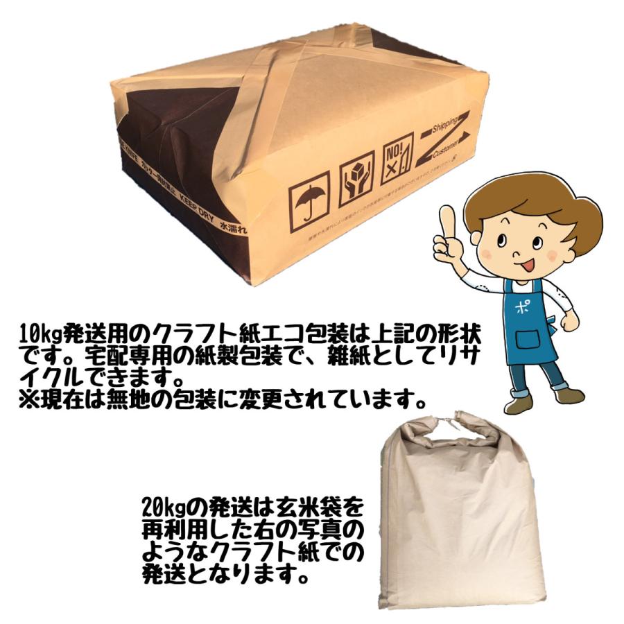 新米 コシヒカリ 三重県産 5kg 令和5年産 白米