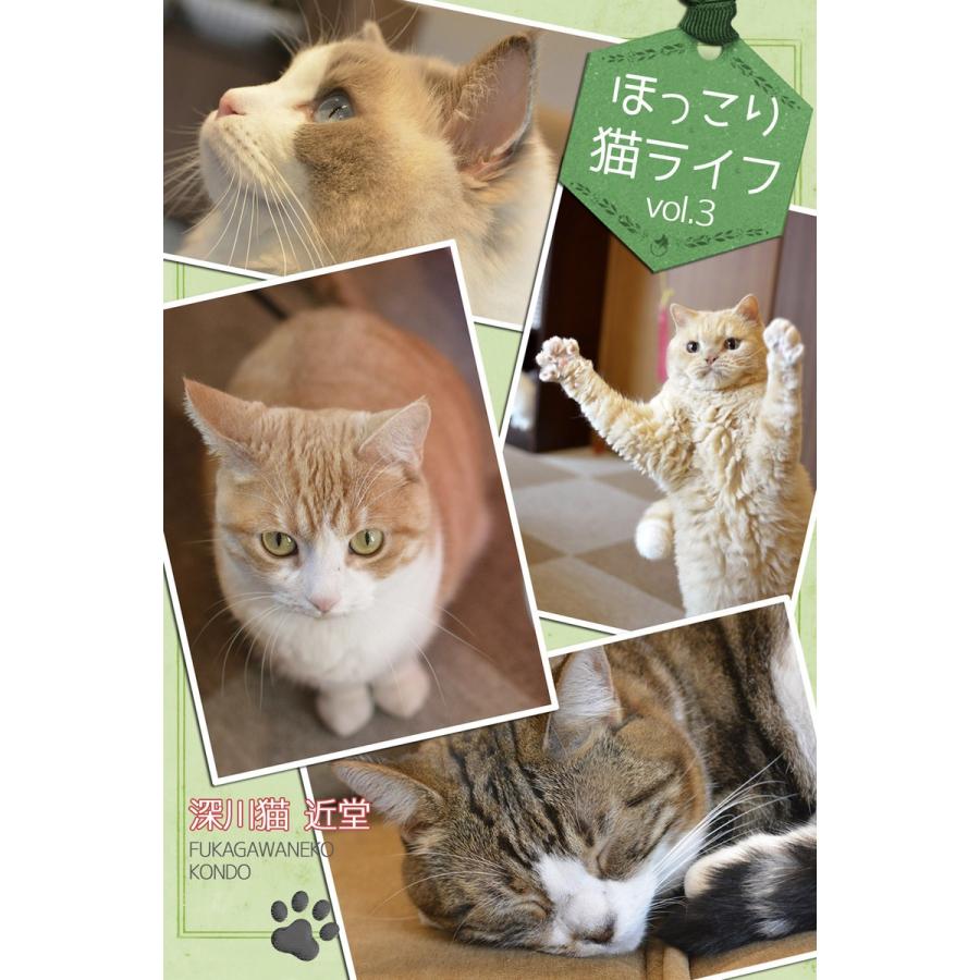 ほっこり猫ライフ vol.3 電子書籍版   深川猫近堂 Blue Label