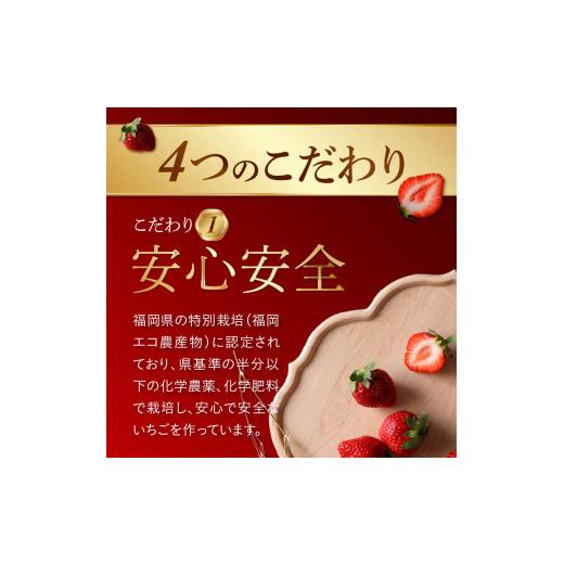 ふるさと納税 福岡県 久留米市 完熟あまおうプレミアムギフト