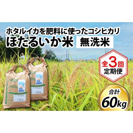 ふるさと納税 ほたるいか米（無洗米20kg）×3回 計60kg 富山県滑川市