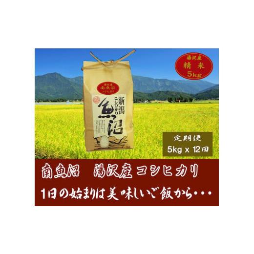 ふるさと納税 新潟県 湯沢町 令和5年産＜精米＞（白米）5kg 精米したてのお米をお届け