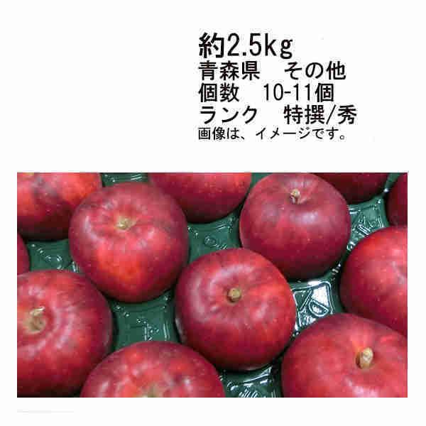 送料無料 紅玉りんご 青森県 その他 約2.5kg 個数 約10-11玉 ランク 特選 秀