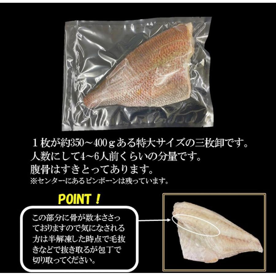 愛媛宇和島  真鯛 約350g〜400g（4〜6切分） 三枚おろし 自社加工 生食OK たい タイ 鯛 タイフィーレ 本鯛 在宅応援 お造り 海鮮鍋  取り寄せ