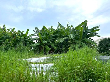 湖口便宜甲建｜新竹縣湖口鄉德興段
