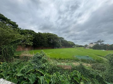 富岡面寬美農地｜桃園市新屋區十五間段十五間小段