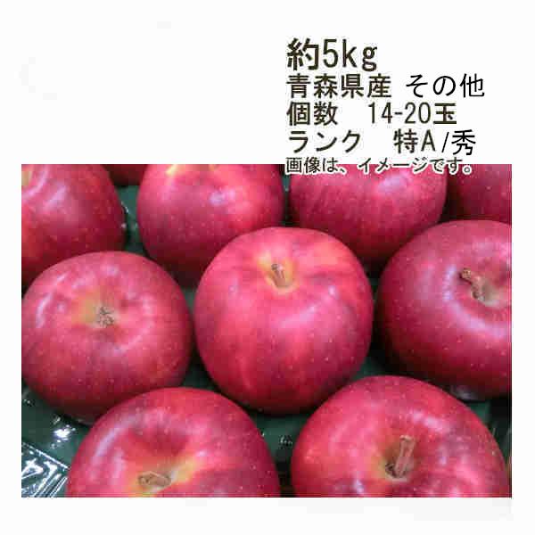 送料無料 ジョナゴールド 青森県産 その他 約5kg 個数 14-20玉 ランク 特A 秀