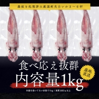 若狭湾産　白イカ（剣先イカ）3～6杯（スミ抜き、冷凍）