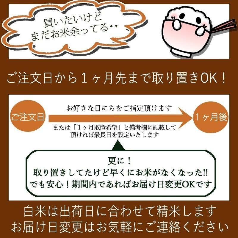 新米  令和5年産  精米　米 宮城県産 ひとめぼれ 20kg （ 5kg×4袋  ） 送料無料