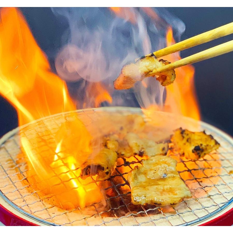 牛肉 ホルモン シマチョウ ぷる旨！てっちゃん 300g テチャン 焼き肉 バーベキュー キャンプ 牛大腸 モツ オーストラリア産 150g×2パック 冷凍