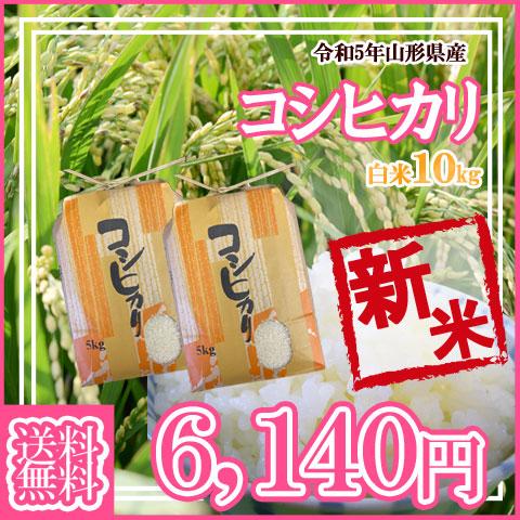 令和5年産 新米 送料無料 山形県産 コシヒカリ 白米 5kg×2 安全で確かなものを食卓へ 10キロ 十キロ お米 おこめ 10kg