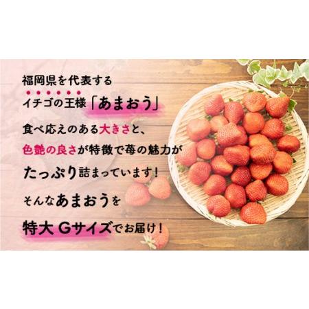 ふるさと納税 MZ041福岡県産 あまおうG以上 1250g 5パック 先行予約 ※2024年2月〜3月末にかけて順次発送予定  福岡県篠栗町