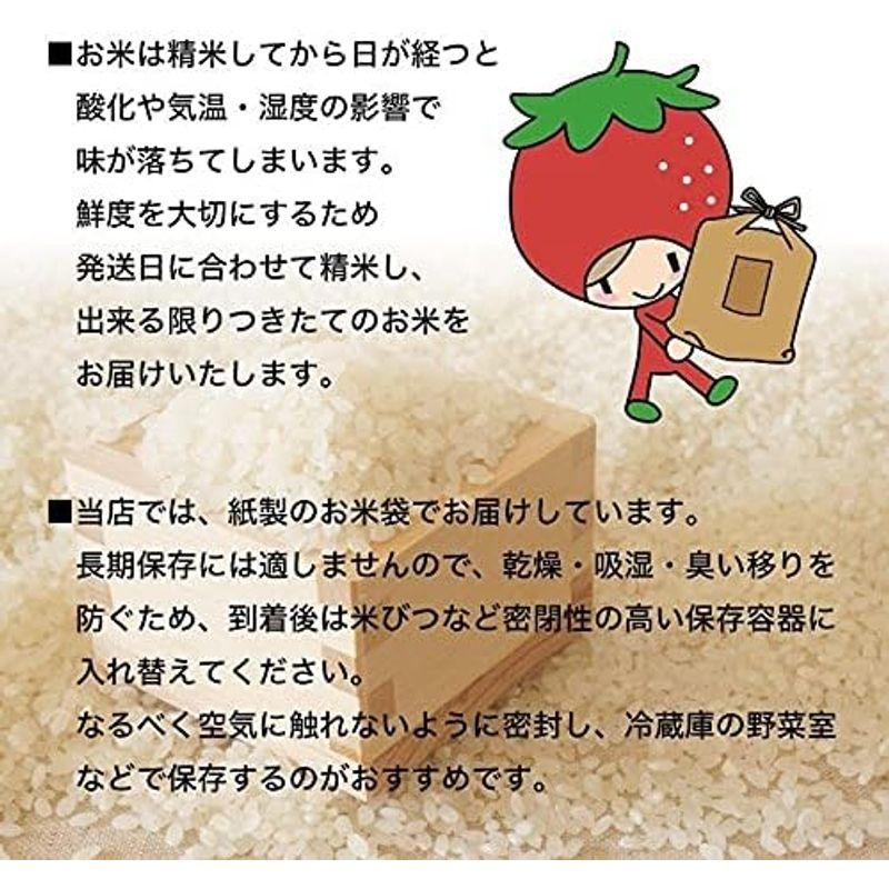 山形県産 つや姫 精米 令和5年産 特別栽培米 (10kg)