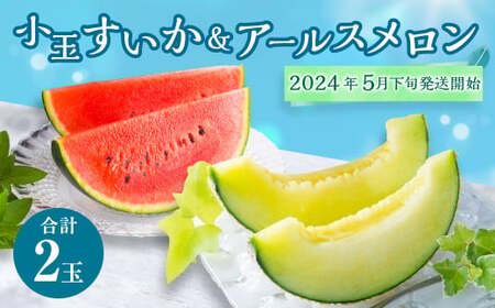  熊本県産 小玉すいか＆アールスメロン 各1玉 すいか アールスメロン メロン 果物 くだもの フルーツ 西瓜