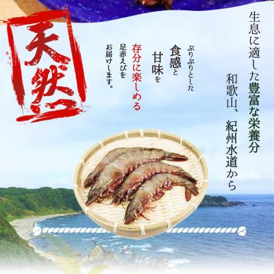 ふるさと納税 湯浅町 紀州和歌山産天然足赤えび540g(270g×2パック)　化粧箱入