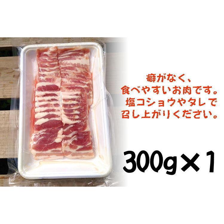 肉盛！大盛りBコース！総重量1.2kg 約4人前 (US牛バラカルビ,豚バラカルビ,US牛ハラミ,牛たん) バーべーキュー 焼肉 業務用 送料無料