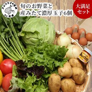 ふるさと納税 道の駅松浦海のふるさと館『旬のお野菜＋産みたて濃厚玉子6個』の大満足セット！ 長崎県松浦市