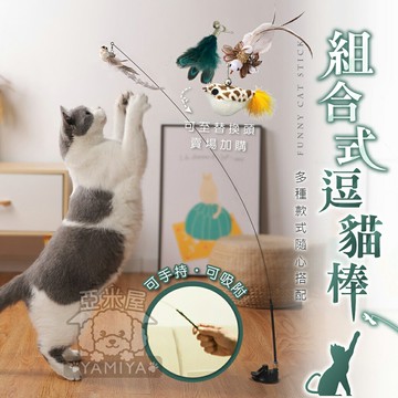 組合 吸盤式逗貓棒 逗貓棒吸盤彈力 吸盤羽毛逗貓棒 可拆卸逗貓棒 逗貓棒 寵物玩具 鋼絲逗貓棒 彈力逗 《亞米屋Yamiya》