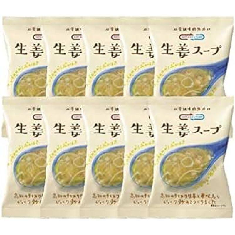 NATUREFUTURe 生姜スープ 10食セット