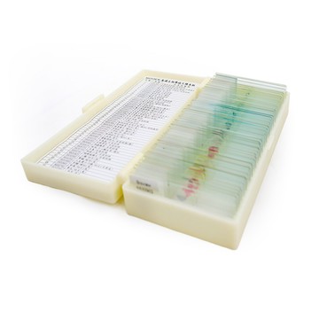 MICROTECH 切片標本組 B-50PB 生物教學精選50片裝(中英對照-繁體中文)