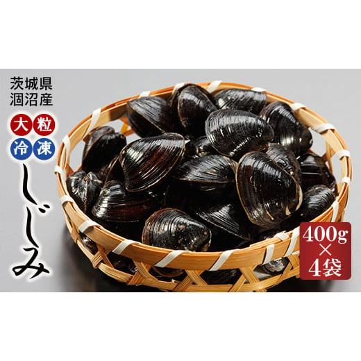 ふるさと納税 茨城県 大洗町 涸沼産 大粒 冷凍 シジミ 1.6kg （400ｇ×4袋） しじみ 蜆 大和しじみ ヤマトシジミ 大玉 砂抜き済 冷凍 味噌汁 スープ 魚貝類 貝…