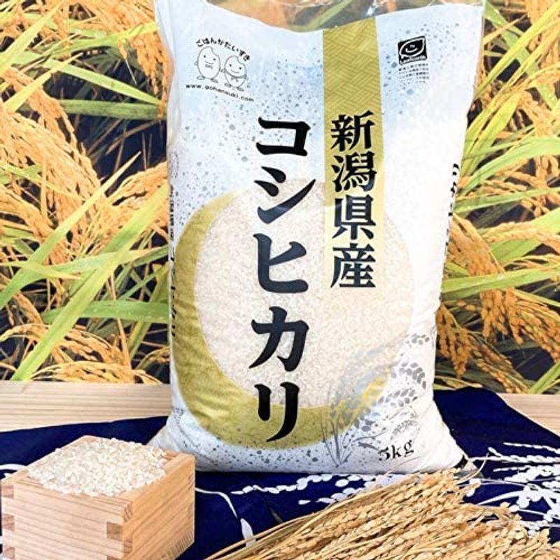 お米 新潟県産コシヒカリ 10kg（5kg×2） 令和4年産