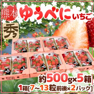 熊本県 ”ゆうべにいちご（熊紅いちご）” 秀品 2パック入り（1パック 7～13粒 約250g）×《5箱》 送料無料