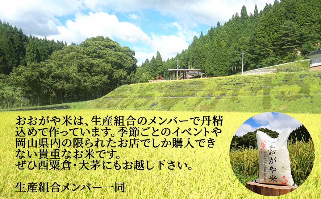 玄米 30kg 令和5年産 コシヒカリ 岡山 「おおがや米」生産組合 G-ad-ACZA