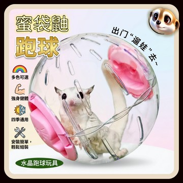 【XL-LX】倉鼠跑球 蜜袋鼯玩具 花枝鼠 金絲熊 運動跑球 大號透明 解悶自嗨 不卡腳