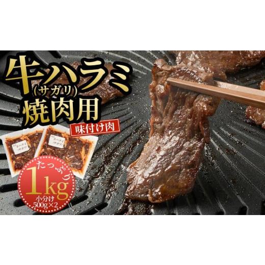 ふるさと納税 秋田県 秋田市 牛ハラミ（サガリ）焼肉用　（味付け肉）