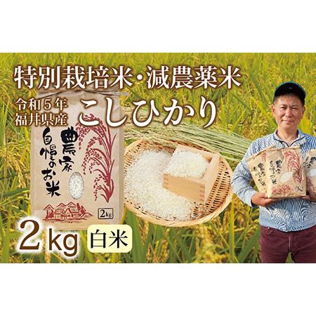 ふるさと納税 〈新米〉減農薬米 こしひかり 2kg ／令和5年福井県産 （白米） 福井県越前市