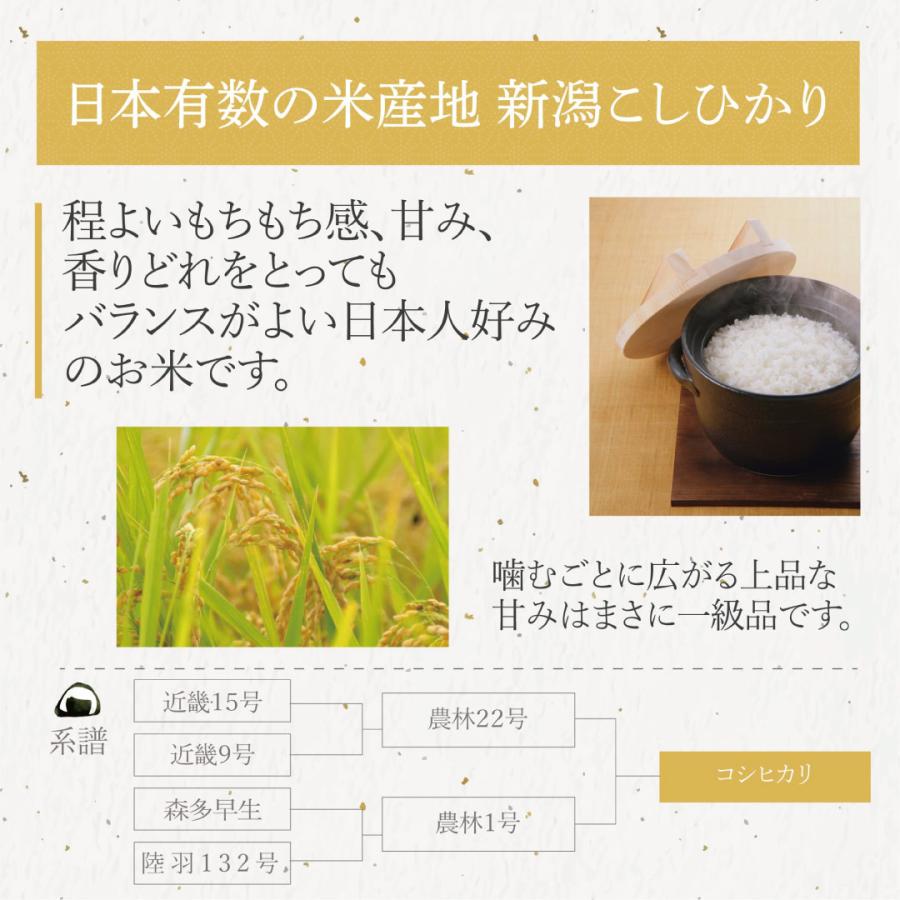 無洗米 5kg 米 コシヒカリ 新潟県産 お米 米5kg 無洗米 5キロ 送料無料 米無洗米 白米 精米 おこめ 宅配 送料無 安い 格安 令和5年産 新米 単一原料米