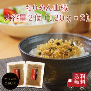 ちりめん山椒120g×2個セット ちりめん 山椒 佃煮 ふりかけ メール便 お試し ご飯のお供 おうちごはん おにぎり 朝食