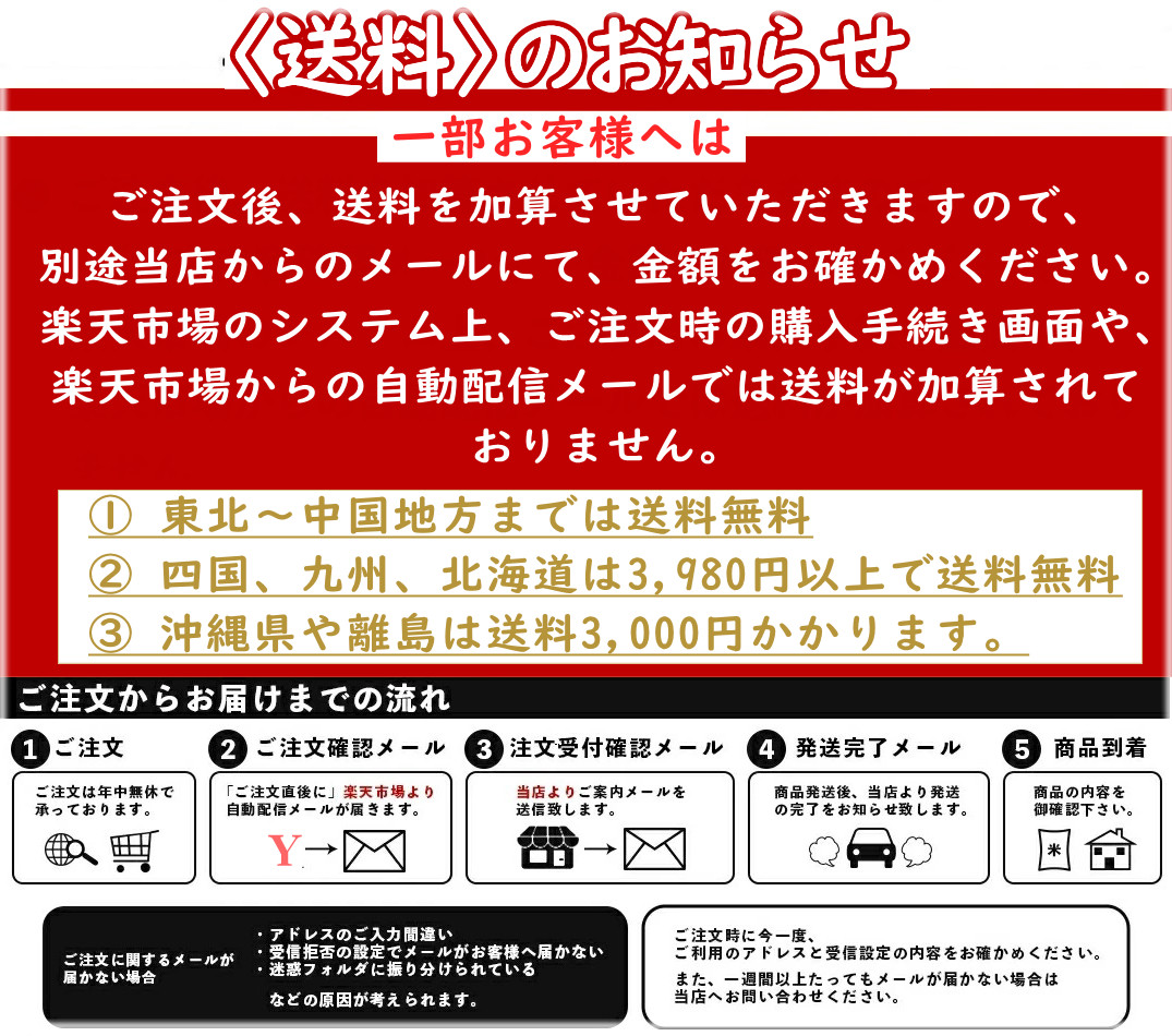 玄米 10kg 毎日の玄米 無洗米 送料無料 5kg ×2袋 国産 米 10キロ