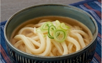 冷凍さぬきうどん