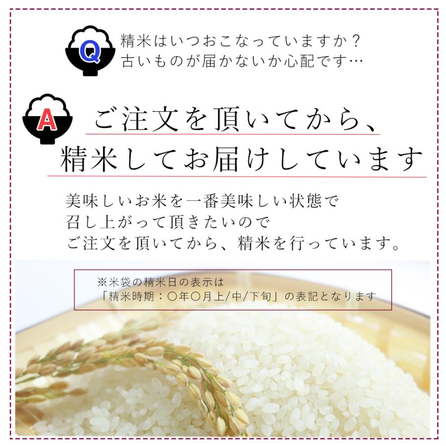 受注精米 お米 10kg 送料無料 新潟県産  新米 コシヒカリ (5kg×2袋) 合計10キロ 白米 2023年 令和5年産