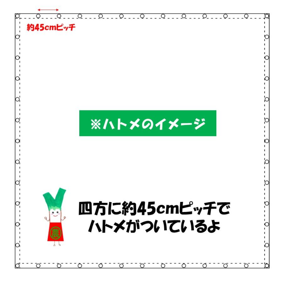 グリーンシート 5号 5.4m×5.4m 厚み0.38mm グリーン ベージュ イノベックス ダイオ化成 ハトメ付き 防水 シートカバー アウトレット 在庫限り