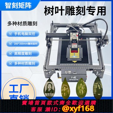 {可打統編 保固一年}葉雕機樹葉激光雕刻機小型便捷式擺攤雕刻照片不銹鋼木板打刻機
