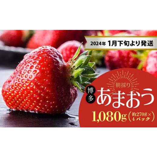 ふるさと納税 福岡県 久留米市 農家直送 朝採り新鮮いちご約270g×4パック