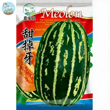 【原廠包裝】甜掉牙甜瓜種子（Sweet to the Teeth Melon） 爆甜哈蜜瓜 水果香瓜 家庭農場 陽台盆栽