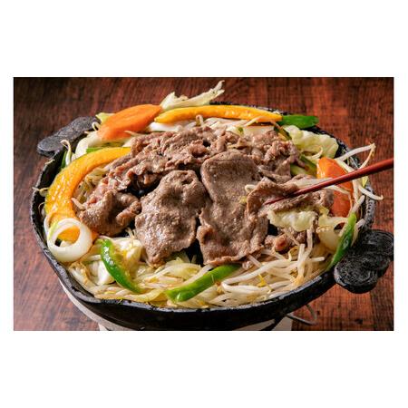 ふるさと納税 エゾ鹿肉のジンギスカン 合計1.2kg(300g×4パック)  エゾ鹿 鹿 もも肉 肉 無添加 自家製タレ ジンギスカン ローカロリー 北.. 北海道北広島市