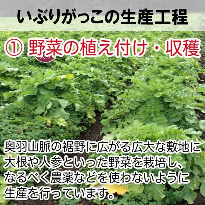 いぶりがっこ ハーフ 150g×2袋 漬物 贈り物 ポイント消化 送料無料 ご飯のお供 お惣菜 常温 野菜 おつまみ 食品 お試し グルメ お取り寄せ 安価