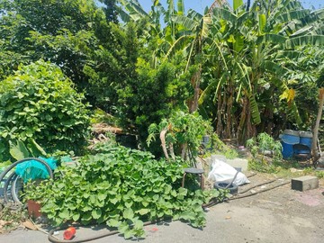 麥寮驚爆價買甲建~114坪大面寬建地每坪 6 萬｜雲林縣麥寮鄉麥中段