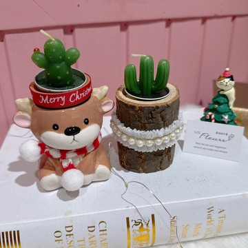 聖誕動物寶寶給你療癒多肉-香薰多肉蠟燭禮盒(交換禮物/聖誕禮物)