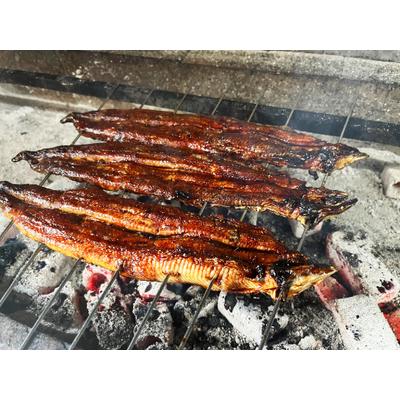 ふるさと納税 国産炭火焼うなぎ１本セット（140g〜160g×1本） 滋賀県近江八幡市