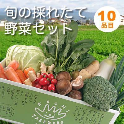 ふるさと納税 香美市 旬の採れたて野菜セット　10品目「新鮮だから美味しい!」