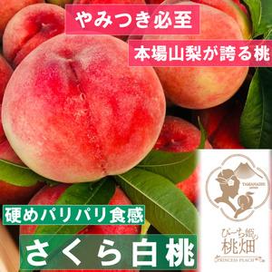 ふるさと納税 人気品種指定約2kg 5〜6玉（PMK）D4-112 山梨県甲州市